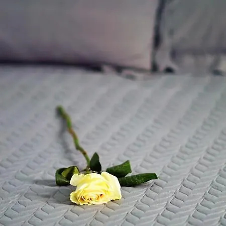 Hébergement de vacances Blue Heart Mykonos Up To 10 People Location