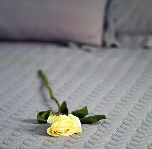 Tatil Evi Blue Heart Mykonos Up To 10 People Location